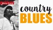 Country Blues - Acoustic Delta Folk Blues