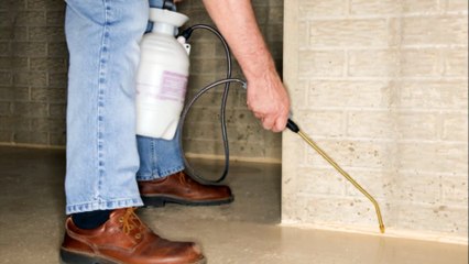 360 Pest Solutions, Llc - (210) 426-7007