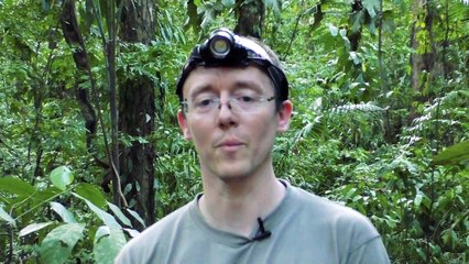 Citizen Scientists- In Search of Bats