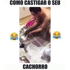 como-castigar-seu-cachorro