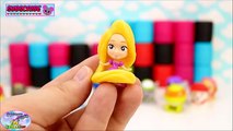 Huge Mystery Fashems Mashems Show MLP Paw Patrol Finding Dory Surprise Egg and Toy Collector SETC
