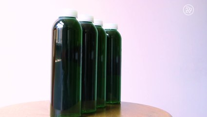 What's the Deal with Chlorophyll Water?