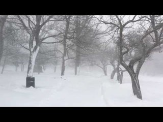 Blizzard Winds Blow Across New Brunswick
