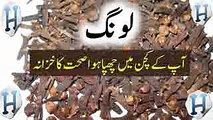 Cloves Health Benefits -- Cloves Spice Benefits -- Long Ke Fayde -- Health Tips In Urdu _ Hindi - YouTube