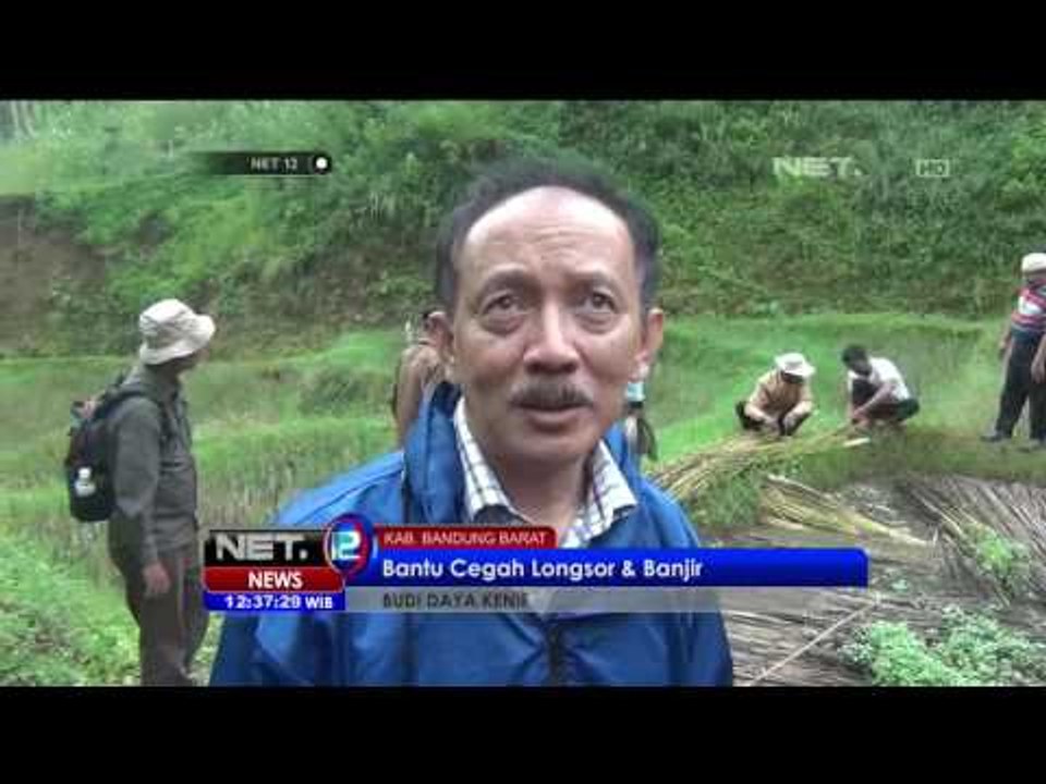 Tanaman Kenaf, Cegah Longsor dan Banjir - NET12
