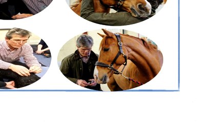 Veterinary Acupuncture Video