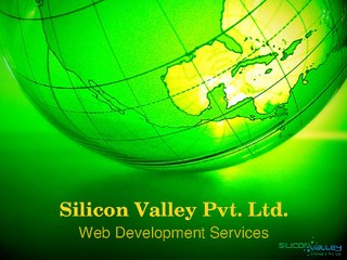 Silicon Valley Pvt. Ltd.