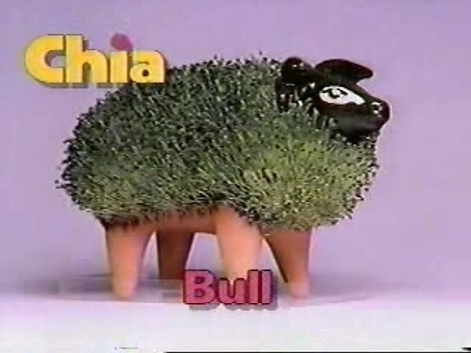 Chia Pets