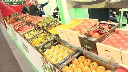 هذا الصباح-  معرض الفواكه في ألمانيا