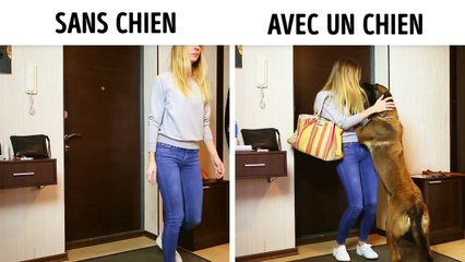La vie avec et sans chien! J'adore mon chien
