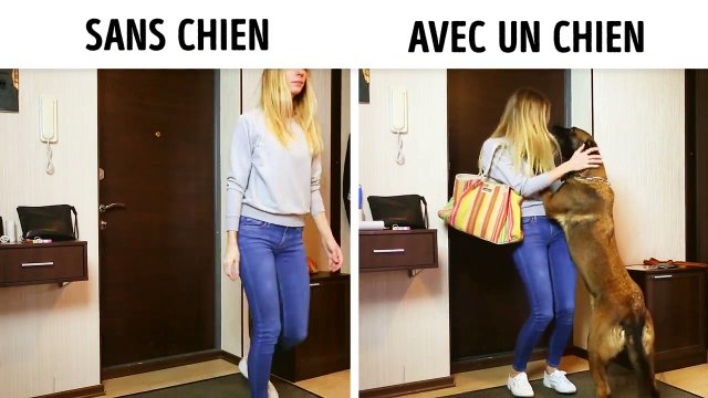 La vie avec et sans chien! J'adore mon chien