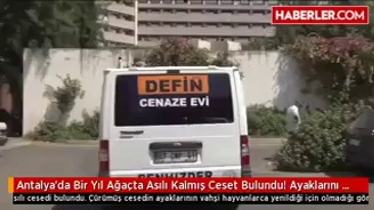 Antalya'da Bir Yıl Ağaçta Asılı Kalmış Ceset Bulundu! Ayaklarını Vahşi Hayvanlar Yemiş