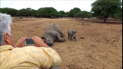 Protrack Anti Poaching Unit Volunteer Work and Work Experince - Journal[via torchbrowser.com]