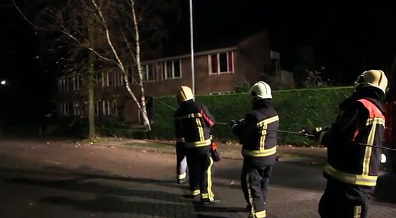 Ces pompiers peinent à déraciner un arbre. Regardez qui tire la corde avec eux