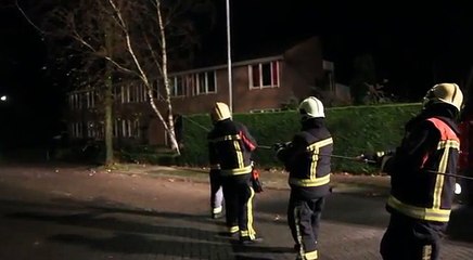 Ces pompiers peinent à déraciner un arbre. Regardez qui tire la corde avec eux