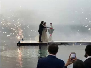 Daughter of a Famous Pakistani Politician Married Abroad