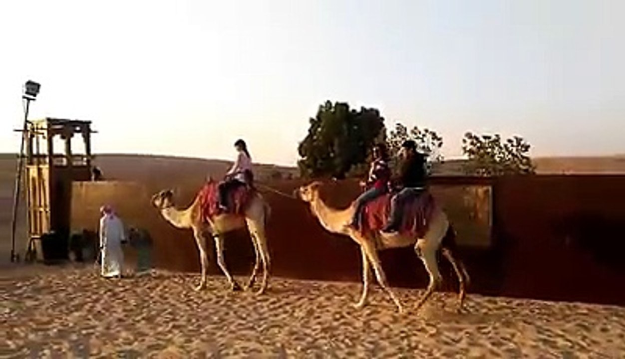 Riding a Camel - Dubai Desert Safari Adventure