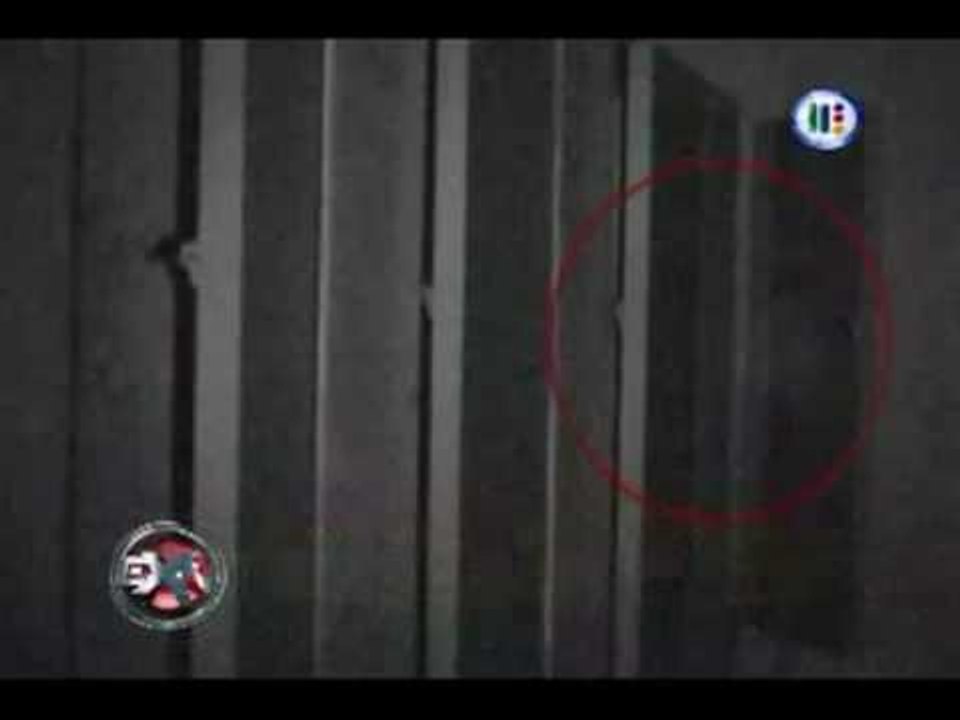 Extra Normal, Discoteca del Terror