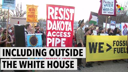 'The Camp Is Still Alive'. Massive Support For Standing Rock