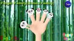 The Finger Family Song ( panda Family ) | Nursery Rhymes & Songs For Children by Sager Sons