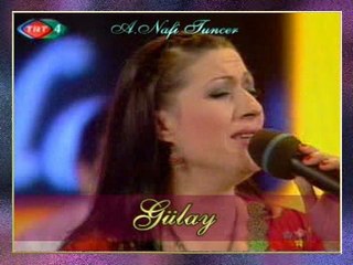 GÜLAY - Bahçada Yeşil Çınar