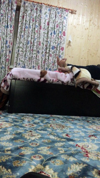 MY BEDROOM