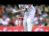 Aleem Dar's all best Decisions at Brisbane 1st Test (Ashes 2010-11). -