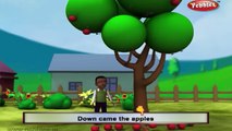 Way Up In The Apple Tree | Nursery Rhymes With Lyrics | Nursery Poems | 3D Nursery Rhymes Children