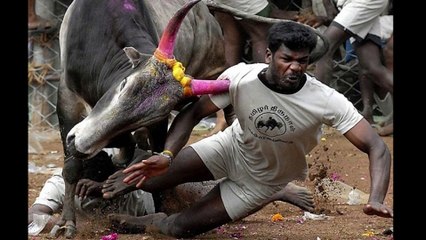 Fotos tomadas antes de que ocurriera un desastre