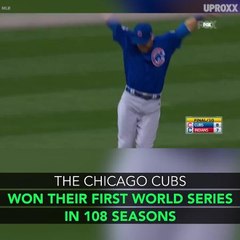 Has This Been The Most Exciting Year For Sports