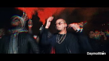 Shelby - Barillet Freestyle
