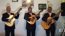 Tríos Musicales en Cuauhtémoc Tel. 50267931