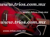 Tríos Musicales en Xochimilco T- 50267690