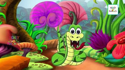 Finger Family Collection | Animal Finger Family Cartoon Nursery Rhymes Collection for Children
