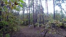 bisiklet sürücüsü ayıyı fark edince son sürat gidiyor dağ orman yolunda