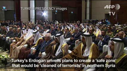 Erdogan: Turkey wants to create a 'safe zone' in Syria