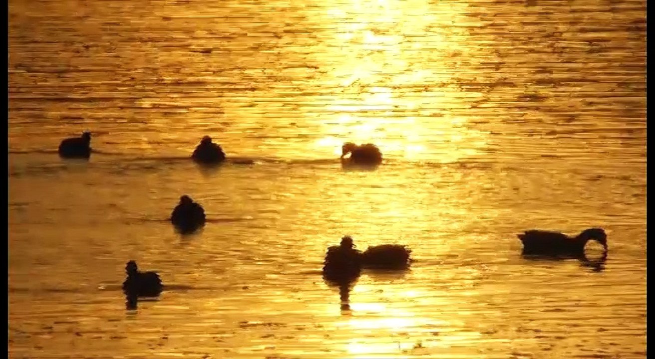 Grande Marée Baie de Saint Brieuc 13 Février 2017