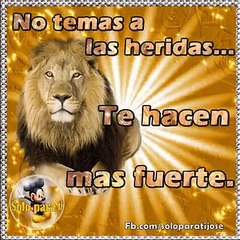 No Temas Al Llanto