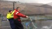 Scottish fish farms fight sea lice