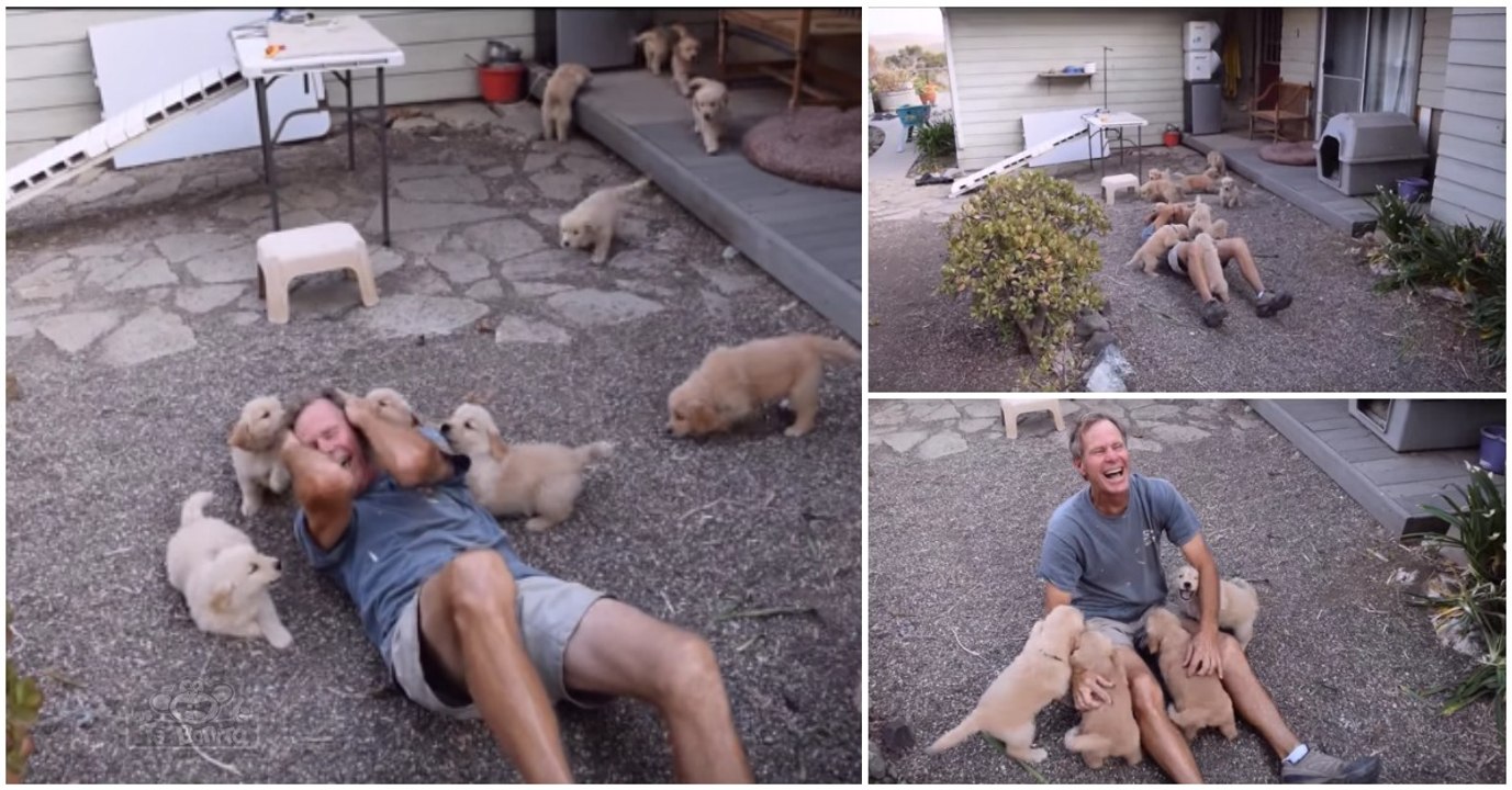 Homem indefeso recebe ataque de cães famintos por carinho e o momento é de extrema fofura