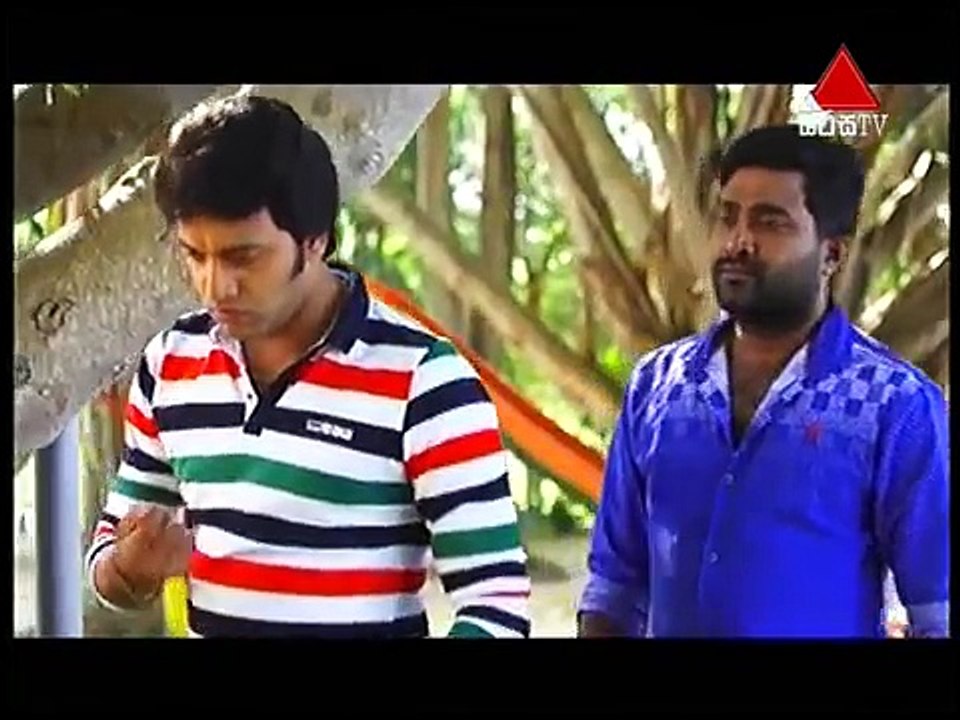 Adare Suwanda Aran  13th February 2017