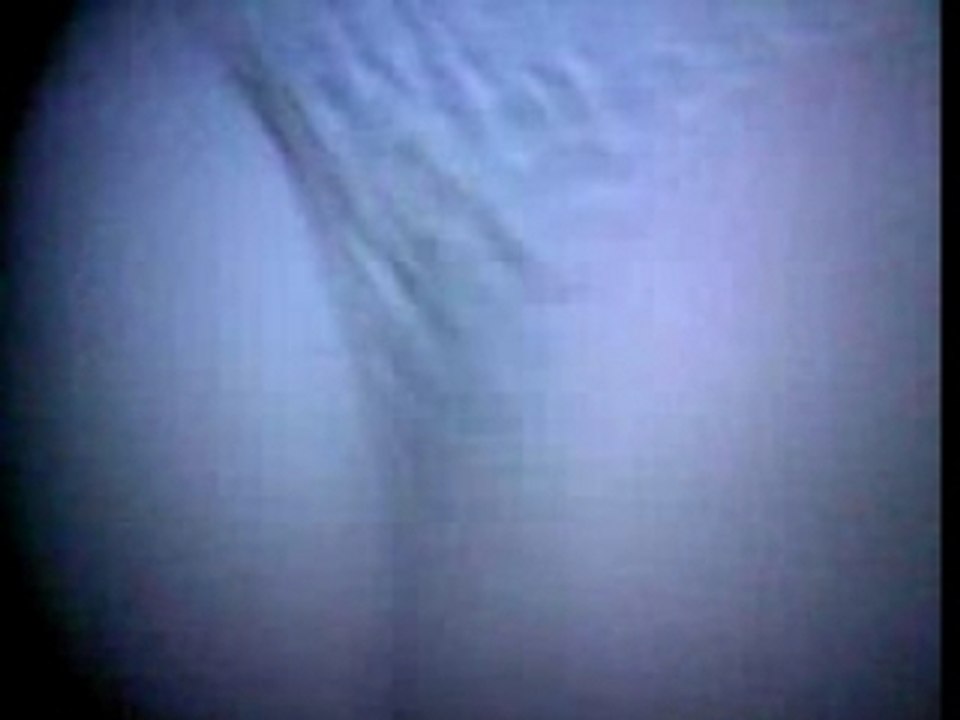 SV_A0010