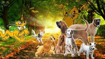 Dogs Finger Family | Real   Cartoon Dogs | Nursery Rhymes for children