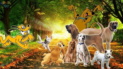Dogs Finger Family | Real + Cartoon Dogs | Nursery Rhymes for children