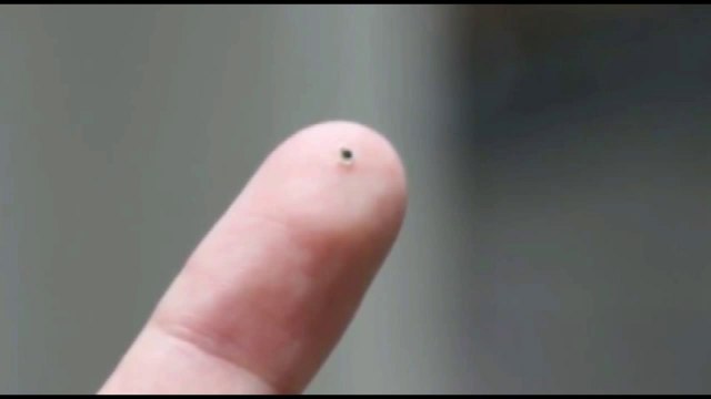 RFID - ( Radio-frequency identification ) - ( 2611nacdan )