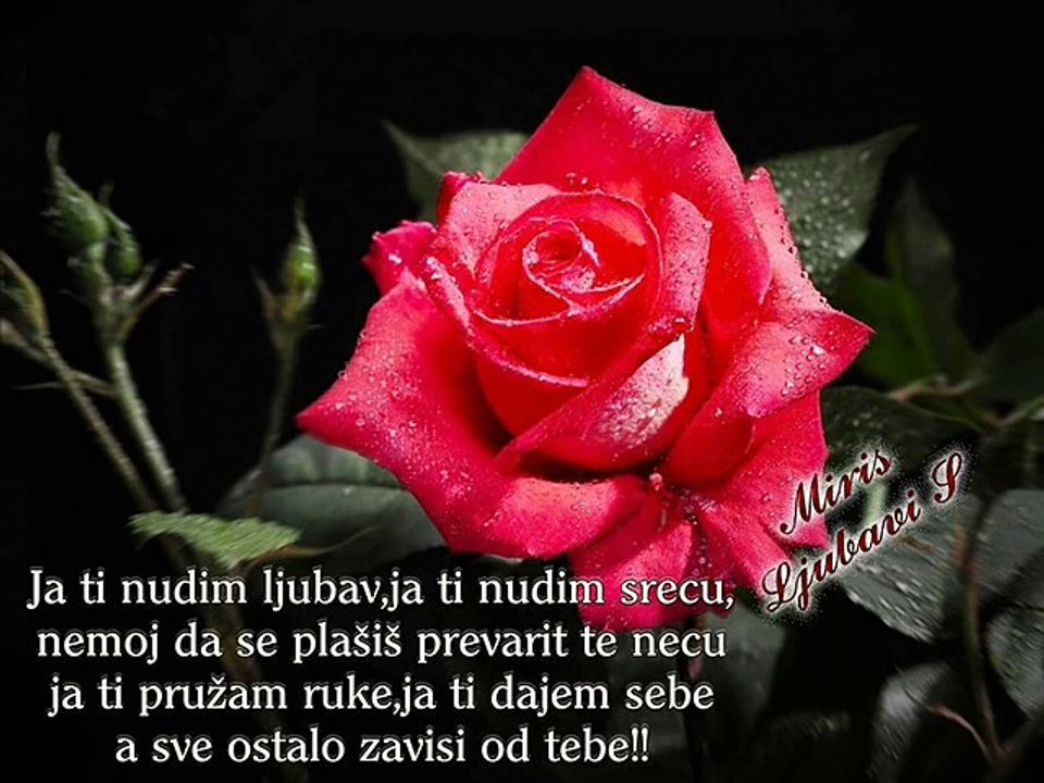 Stizem draga