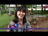 Samangat Dan Dukungan Masyarakat Untuk Timnas Indonesia - NET 12