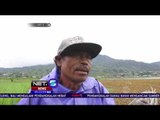 Pendangkalan Danau Buyan, Nelayan Mengeluhkan Nasib  NET5
