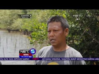 Sadar Akan Manfaatnya, Warga Lampung Lestarikan Hutan Bakau - NET 5
