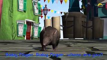 Rat Finger Family Nursery english 3d rhymes | Children Animated finger family song